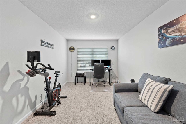 office space with a textured ceiling and carpet floors