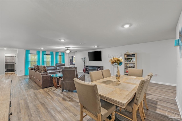 dining room featuring ceiling fan and light hardwood / wood-style flooring