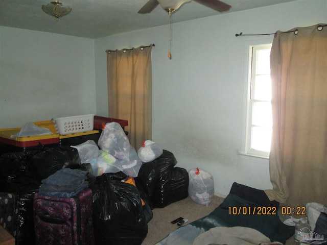 bedroom with carpet and ceiling fan