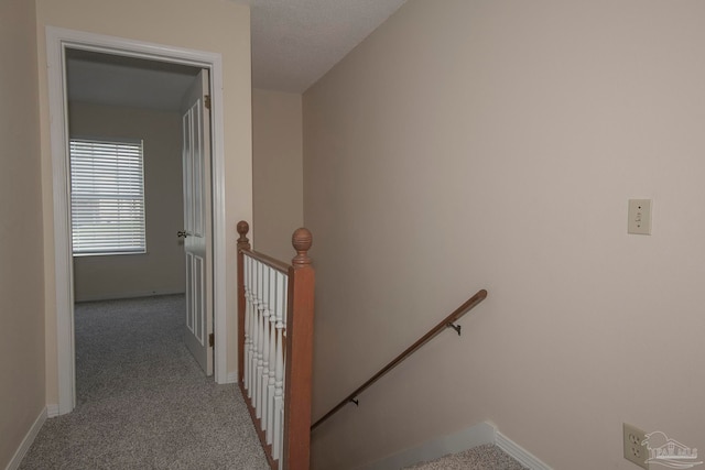 staircase featuring a textured ceiling and carpet floors