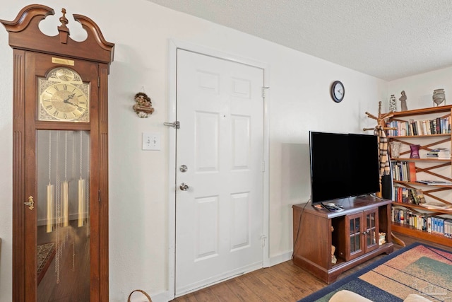 entryway featuring wood-type flooring and a textured ceiling