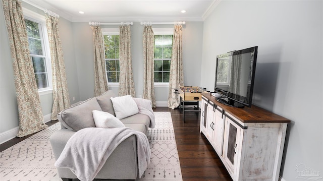 living room featuring dark wood-type flooring and crown molding