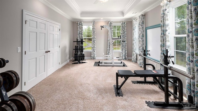 exercise area featuring crown molding, carpet floors, and a tray ceiling