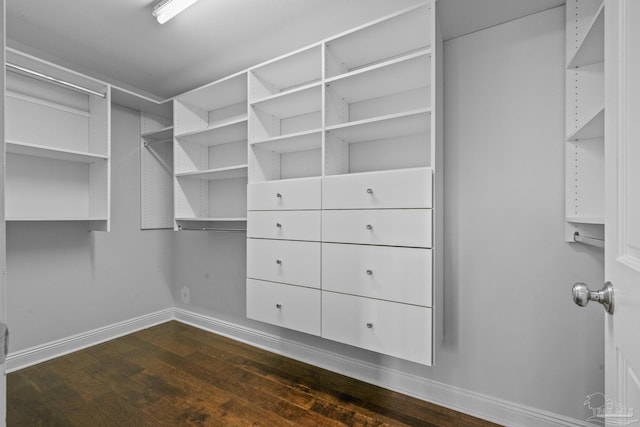 walk in closet featuring dark wood-type flooring