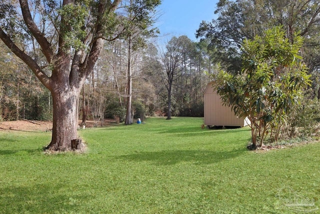 view of yard with a shed