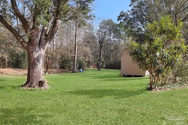 view of yard with a storage unit