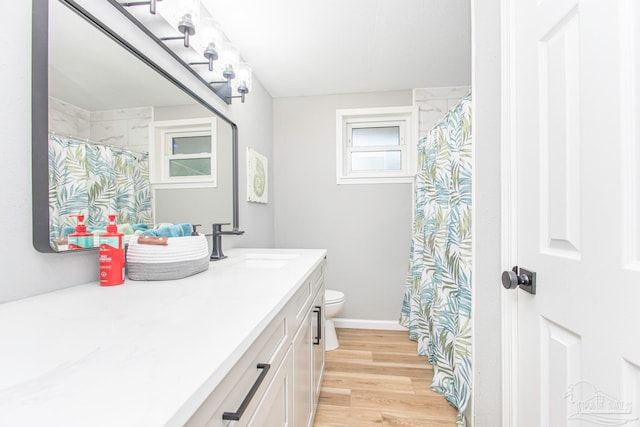 bathroom featuring hardwood / wood-style flooring, vanity, and toilet