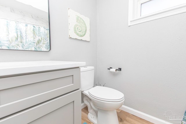 bathroom featuring vanity, toilet, and wood-type flooring