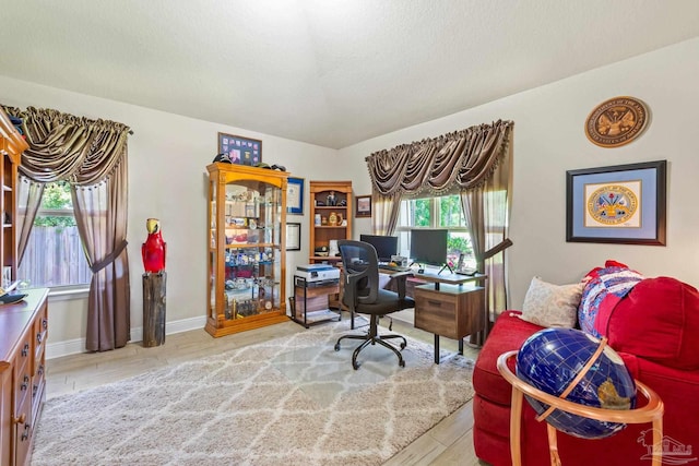 office space with light hardwood / wood-style floors