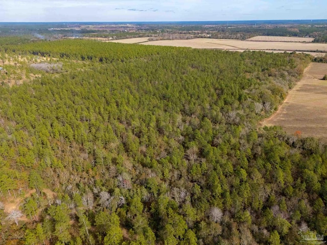 000 N Bob Brooks Rd, Baker FL, 32531 land for sale