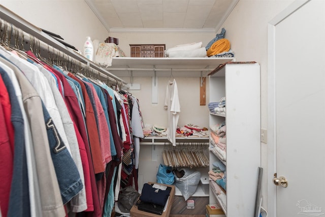 spacious closet with wood finished floors