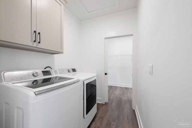 washroom featuring cabinets, dark hardwood / wood-style flooring, and washer and clothes dryer