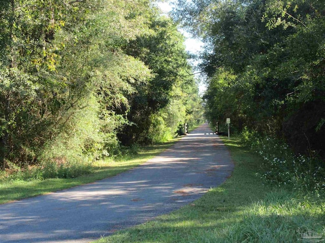 view of road with a forest view