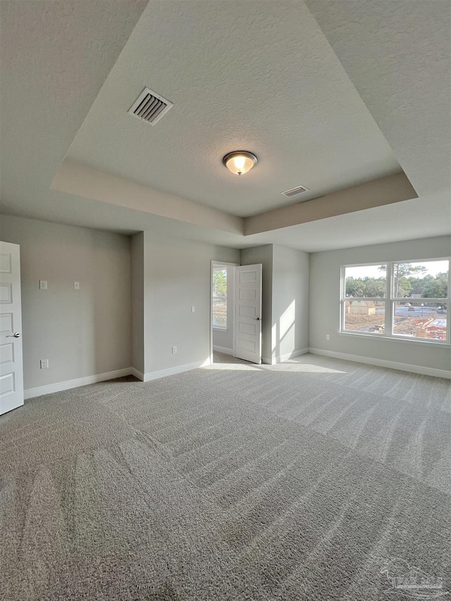 carpeted spare room with a raised ceiling and a textured ceiling