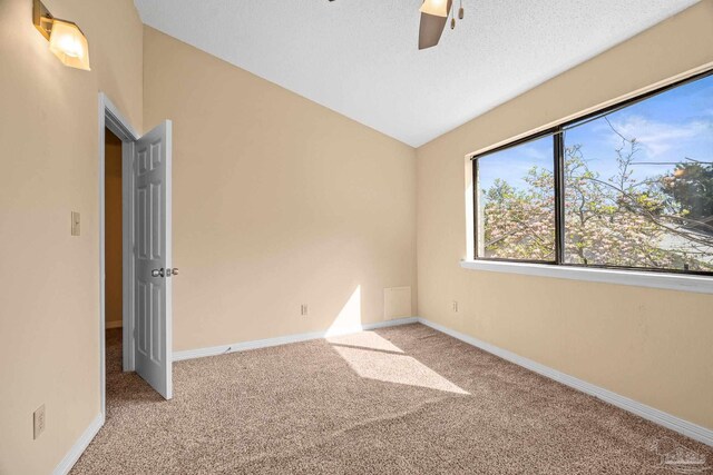 empty room featuring a textured ceiling, carpet, and baseboards