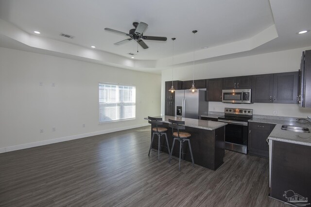 kitchen featuring dark hardwood / wood-style flooring, decorative light fixtures, a tray ceiling, a kitchen island, and appliances with stainless steel finishes