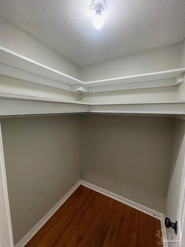 spacious closet with hardwood / wood-style floors