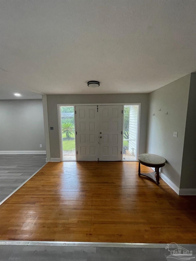 foyer with hardwood / wood-style flooring