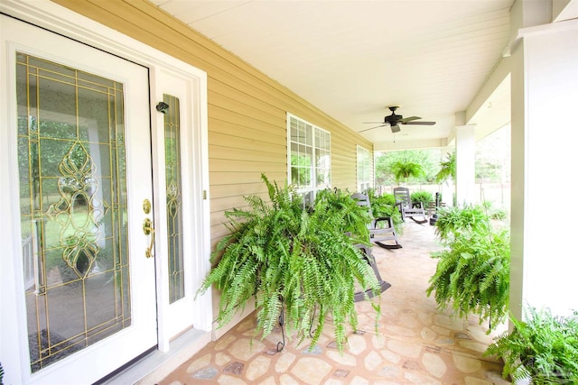 view of patio with covered porch and ceiling fan