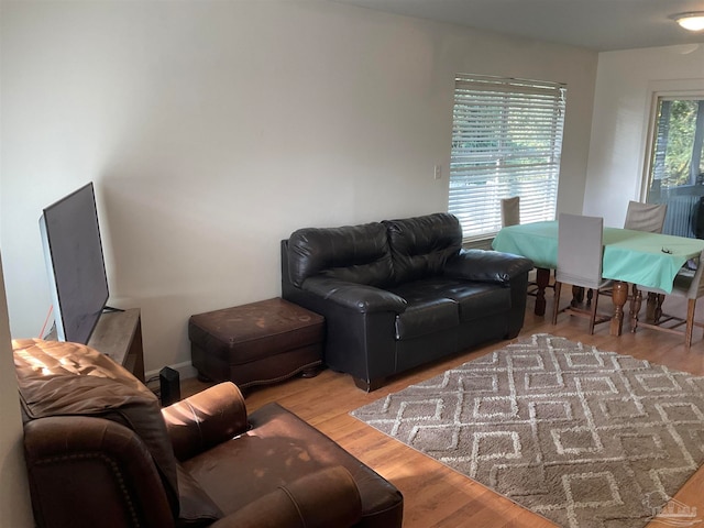 living room featuring light wood-type flooring
