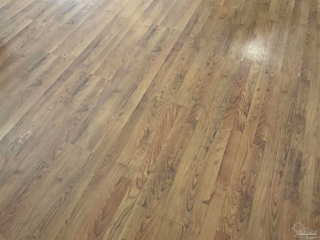 room details featuring hardwood / wood-style floors