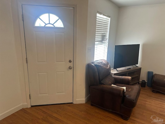 entrance foyer featuring hardwood / wood-style floors