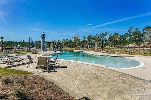 view of pool featuring a patio area