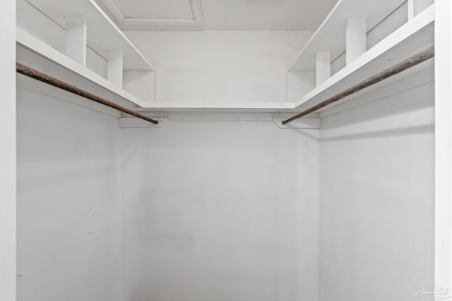 view of walk in closet