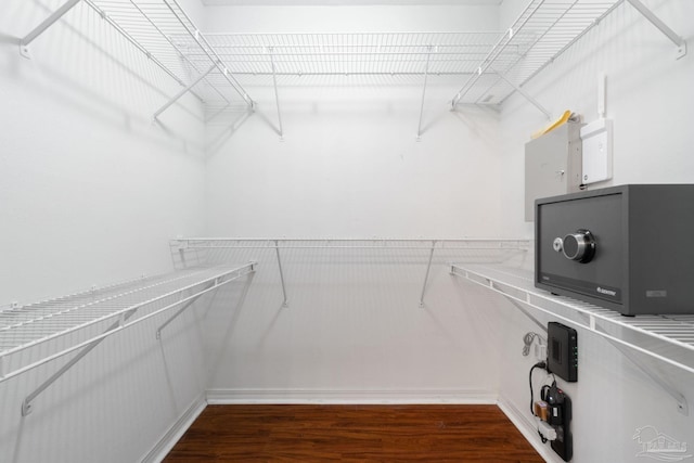 spacious closet with dark hardwood / wood-style floors