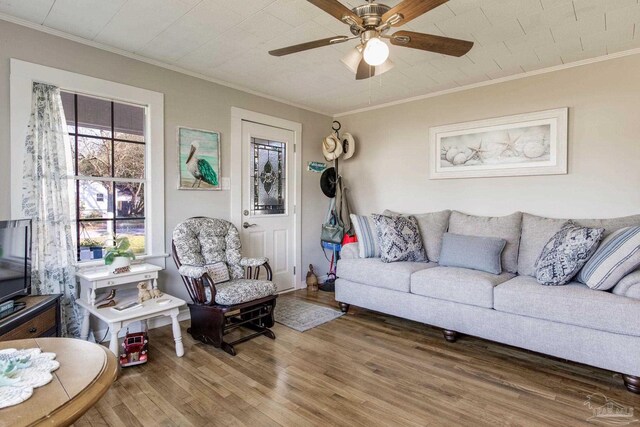 living room featuring ceiling fan, ornamental molding, and wood finished floors