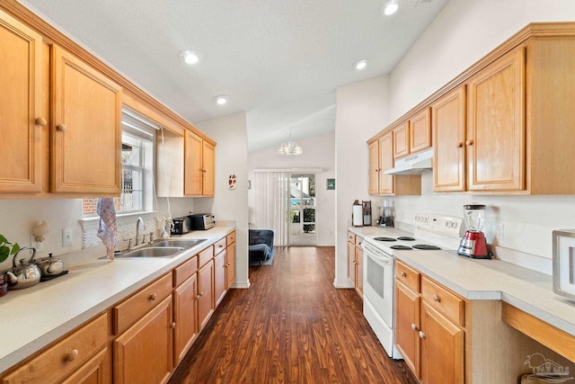 kitchen featuring lofted ceiling, an inviting chandelier, sink, dark hardwood / wood-style floors, and white electric range oven