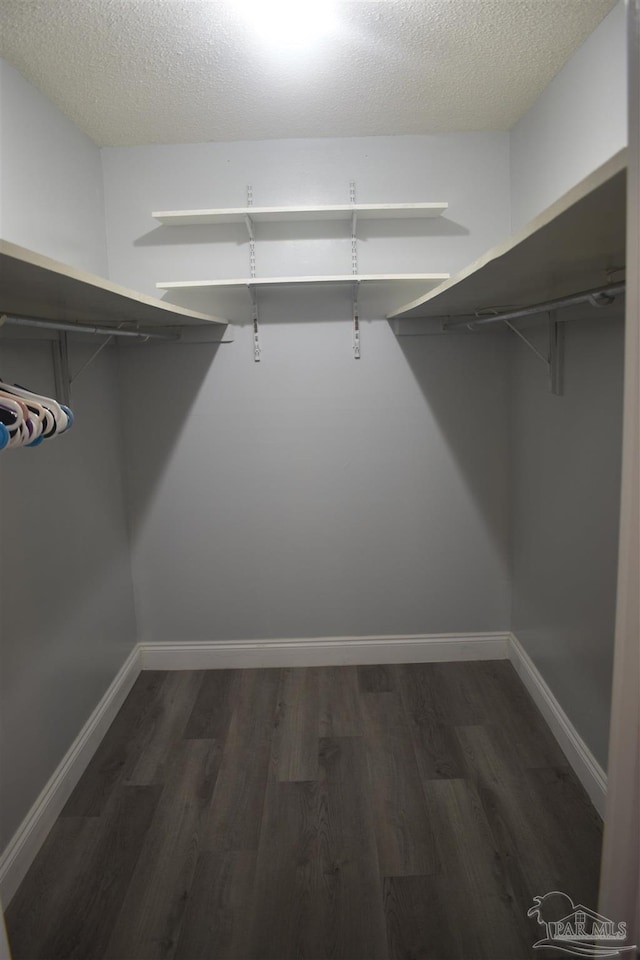 spacious closet featuring dark wood-style floors