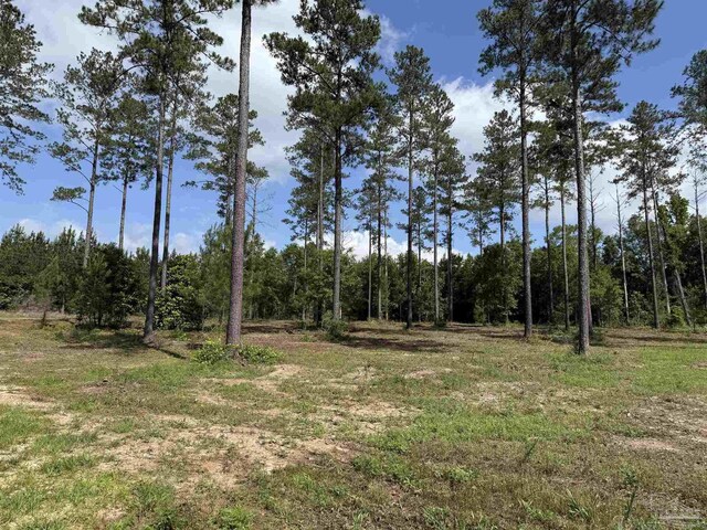 8450 Robinsonville Rd, Atmore, AL 36502