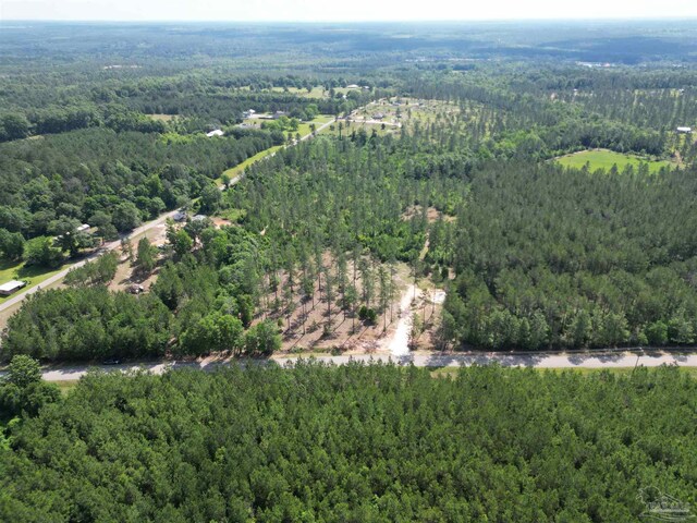 8450 Robinsonville Rd, Atmore, AL 36502