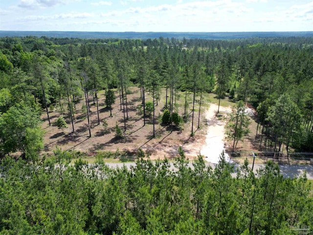 8450 Robinsonville Rd, Atmore, AL 36502