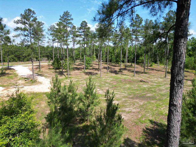 8450 Robinsonville Rd, Atmore, AL 36502