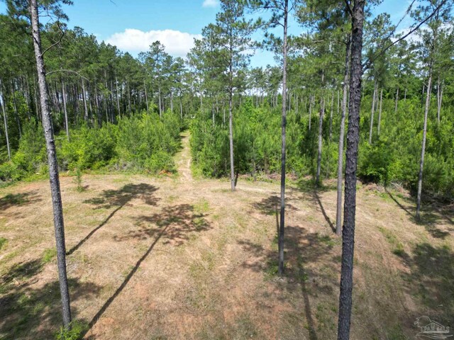 8450 Robinsonville Rd, Atmore, AL 36502