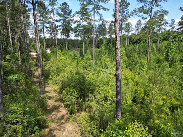 8450 Robinsonville Rd, Atmore, AL 36502