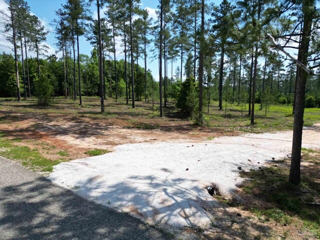 8450 Robinsonville Rd, Atmore, AL 36502