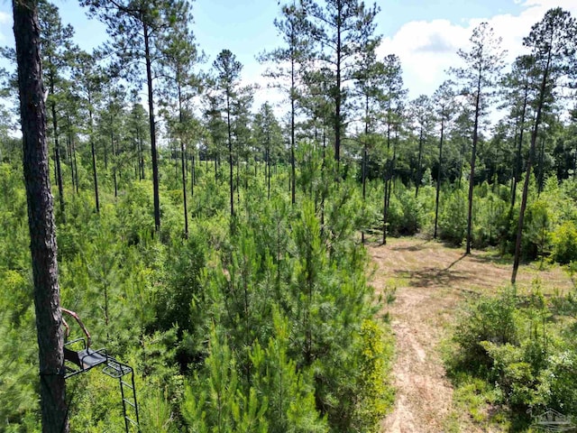 8450 Robinsonville Rd, Atmore, AL 36502