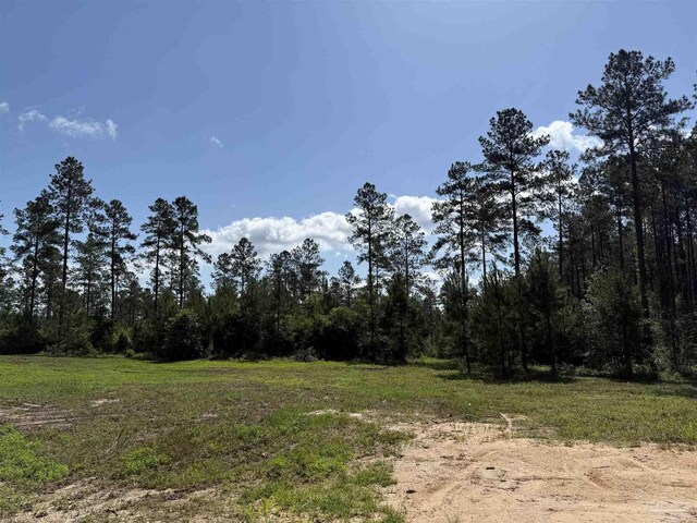8450 Robinsonville Rd, Atmore, AL 36502