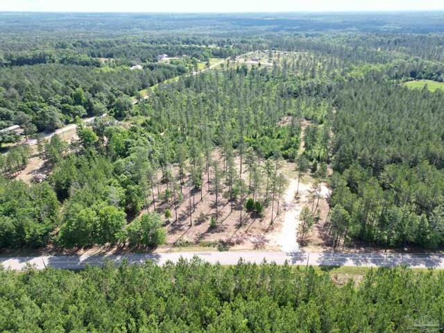 8450 Robinsonville Rd, Atmore, AL 36502