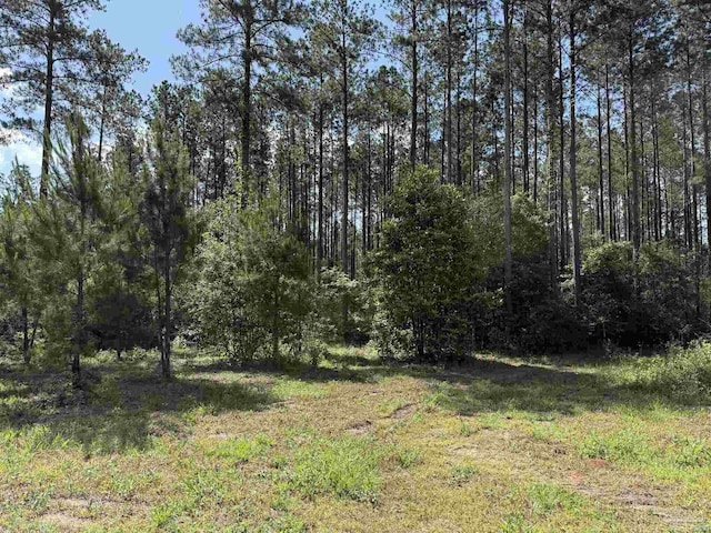 8450 Robinsonville Rd, Atmore, AL 36502