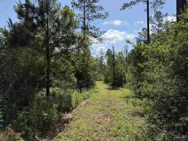 8450 Robinsonville Rd, Atmore, AL 36502