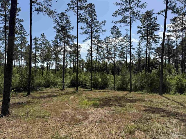 8450 Robinsonville Rd, Atmore, AL 36502