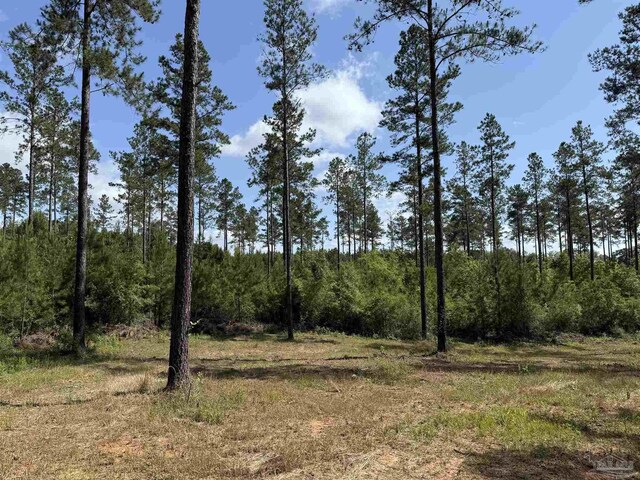 8450 Robinsonville Rd, Atmore, AL 36502