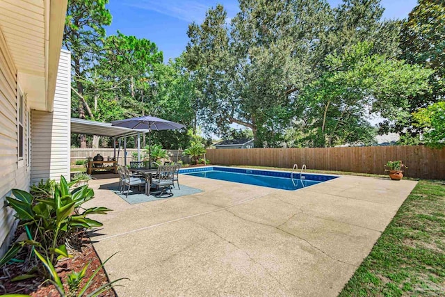 view of pool featuring a patio area