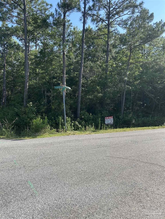 0001 Dickerson City Rd, Bagdad, FL 32583