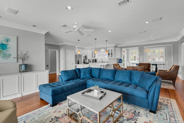 living room featuring sink, crown molding, ceiling fan, and light wood-type flooring