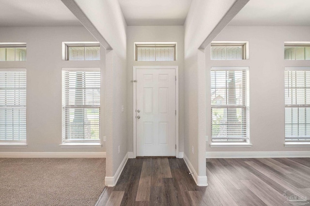 entryway featuring dark hardwood / wood-style flooring